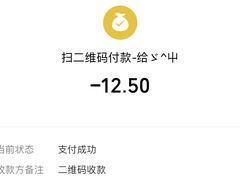 -麦当劳(鄂尔多斯机场店)