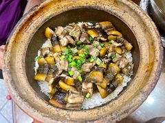 -红星光发煲仔饭(大石街店)