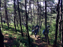 -凤凰山标靶彩弹射击场