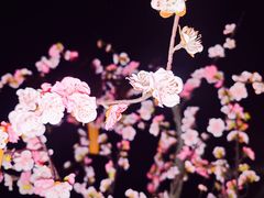 -陶然亭公园