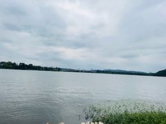 -东湖落雁景区