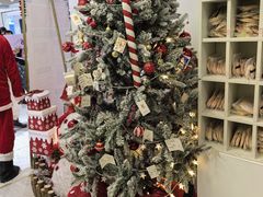 -炫艺舞蹈培训中心(枫尚奥特莱斯店)