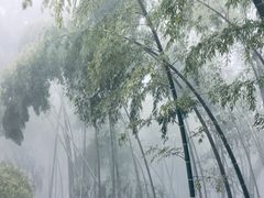 -九华山风景区月身宝殿