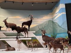 -陕西自然博物馆