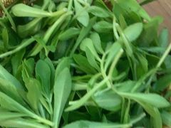 -巴奴毛肚火锅(广益哥伦布店)
