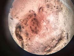 -荣耀金沙动物医院(清江西路店)