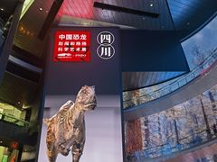 -中国电影博物馆