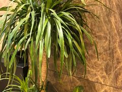 -半秋山西餐厅(襄阳万达店)