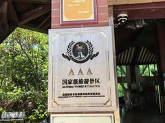 -广东惠东海龟国家级自然保护区