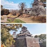 日本旅行|日本不落的名城，因熊本熊闻名世界