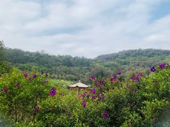 -南国桃园旅游度假区