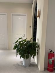 -Sunny喜铺婚礼策划(东部店)