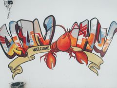 -霸王虾·麻辣小龙虾(清水河公园店)