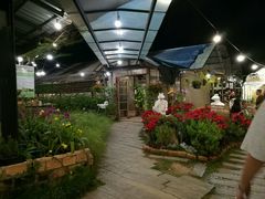 -Ohkajhu Organic Farm Sansai