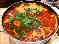 酸汤鱼火锅-贵凤凰贵州米粉(五道口店)