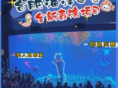 -合肥海洋世界