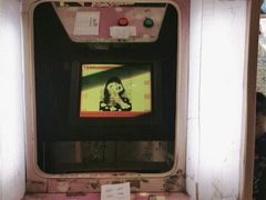 -金砂公园