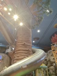 点击看大图 -卡通尼·Safari非洲探索乐园·生日会(金桥国际商业广场店)