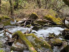-叠溪松坪沟景区