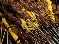 -碎怂烤肉(钟楼柳巷店)