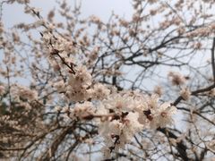 -吉林大学(南岭校区)