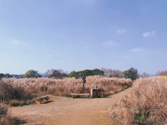 -良渚古城遗址公园