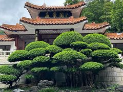 -深圳仙湖植物园
