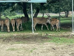 -西安秦岭野生动物园