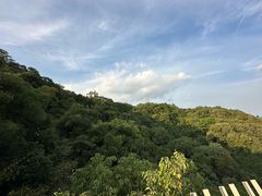-福道