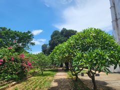 -涠洲岛-圣母堂