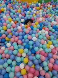 -胜利乐园(胜利购物广场店)