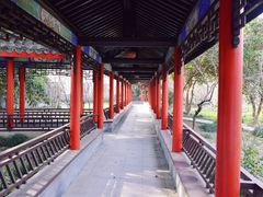 -南汇桃花村