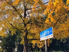 -八大关景区