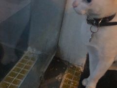 -Doors独立剧情密室(东门分店)