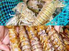 -四川小胡子海鲜(丁村万人海鲜广场店)