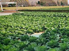 -中国天府农业博览园