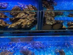 水产区-鸽子侯·家宴·平价海鲜(市图书馆店)