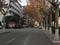 -西北大学(桃园校区)