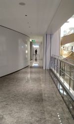 -广州美莱医疗美容医院