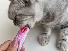 -怪兽屋·羊驼·猫咖·狗咖(俊华广场店)