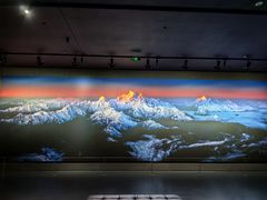 -罗红摄影艺术馆