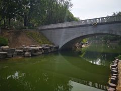 -大兴滨河森林公园