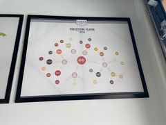 -Torch Coffee 炬点咖啡