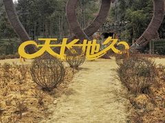 -黄陂区野村谷景区