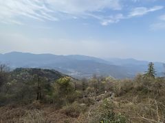 -四明山国家森林公园