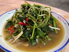 凉拌苕尖-夜不收大排档(兰花小区店)