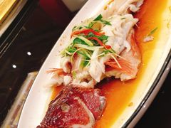 -梅龙镇酒家(南京西路总店)