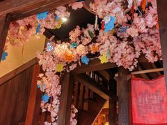 -春草居酒屋·晴子の店