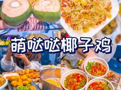 -亚龙湾热带天堂森林公园