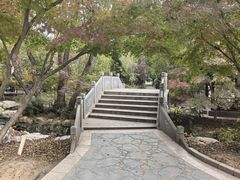 -大伊山景区